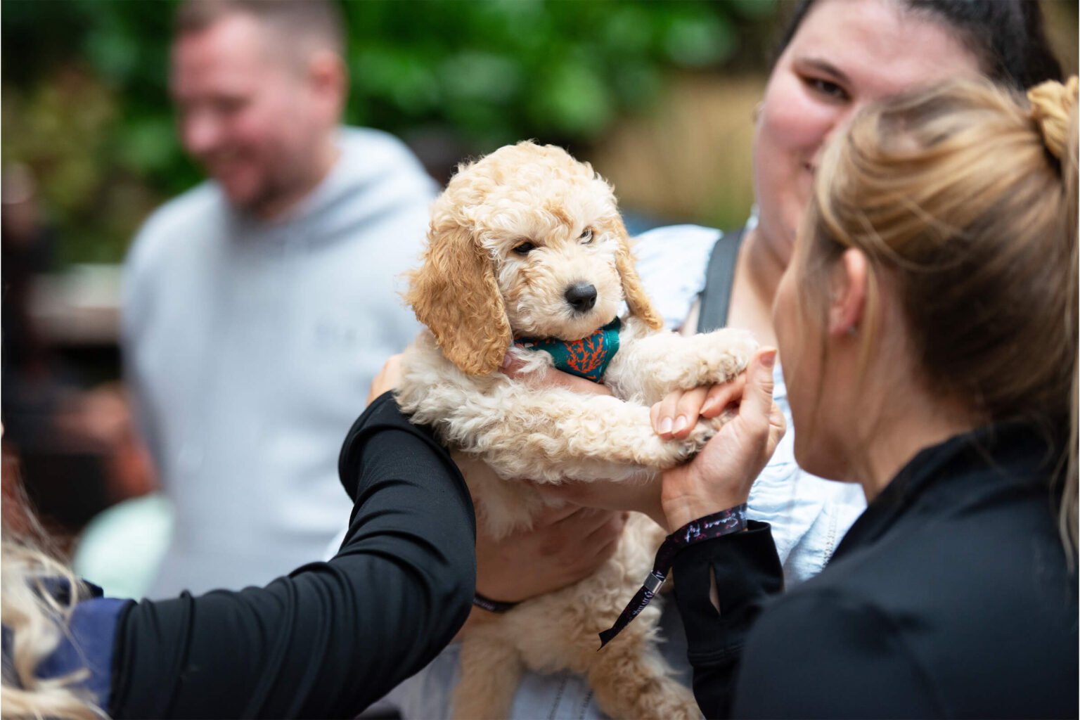 Group of people petting a small puppy